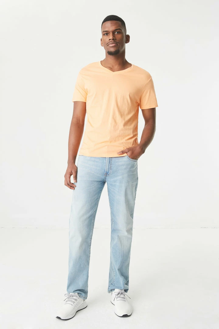 Mens Everyday V-Neck T-Shirt Tops 12 Mens Everyday V-Neck T-Shirt Tops