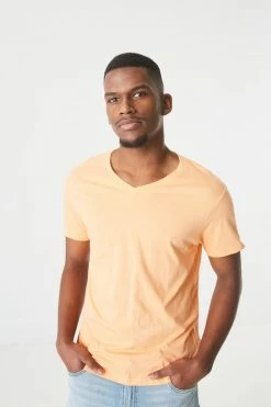Mens Everyday V-Neck T-Shirt Tops 24 Mens Everyday V-Neck T-Shirt Tops