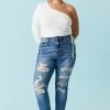 Stitches Ladies Plus Size Distressed Medium Wash Boyfriend Jean